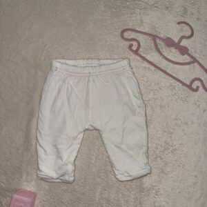 img 7379