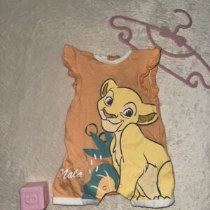 img 7381