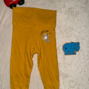 img 7517