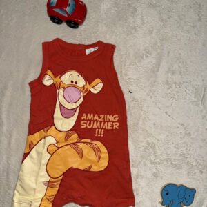 img 7686