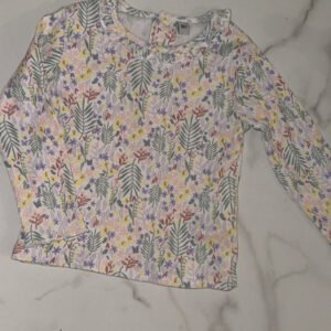 img 0042